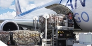Iata: transporte a�reo de carga cresce em mar�o, mas com menor taxa em 22 meses